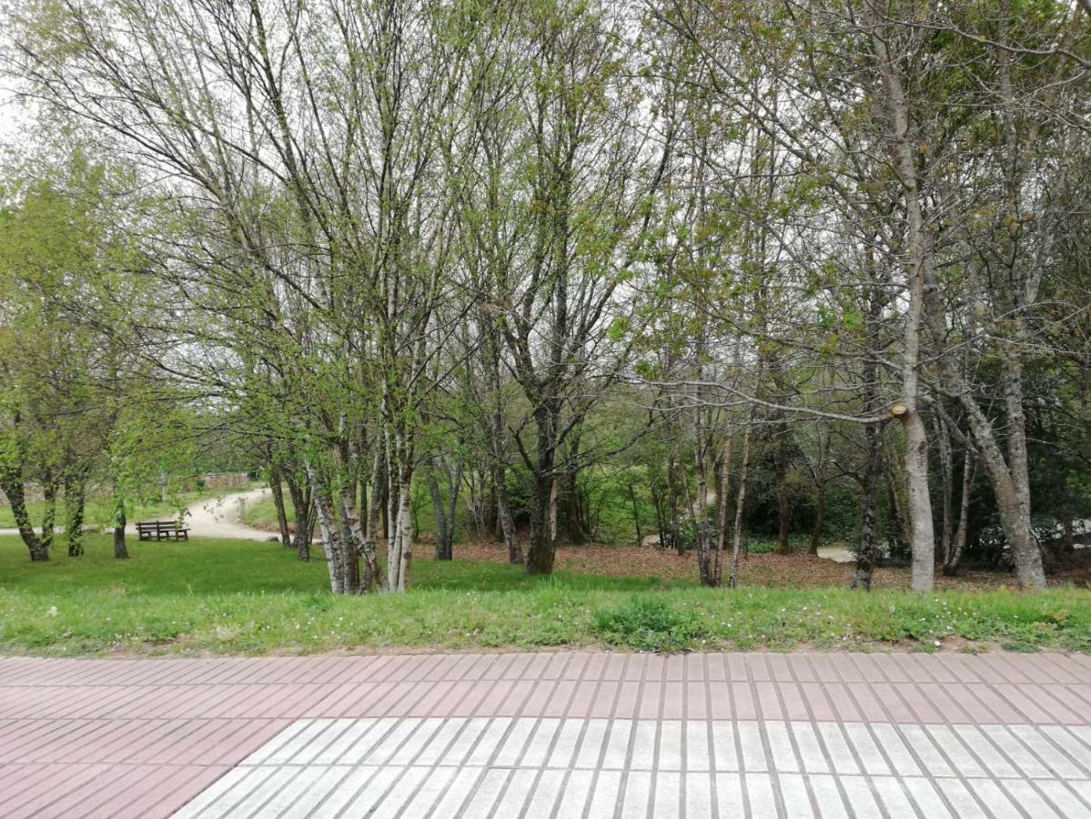 Apartamento Sigueeiro Camino Ingles 시게이로 외부 사진